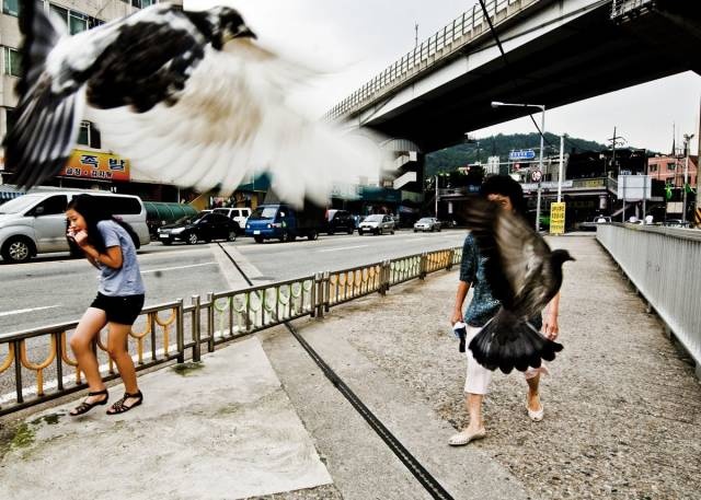 Подборка прикольных картинок Подборка прикольных картинок картинки