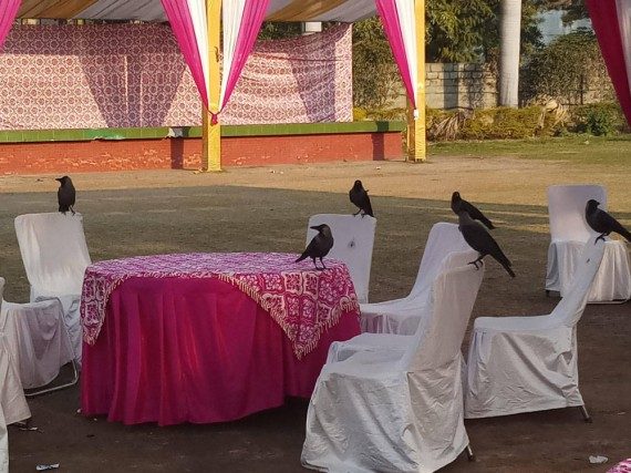 Позитивные моменты дня Позитивные моменты дня