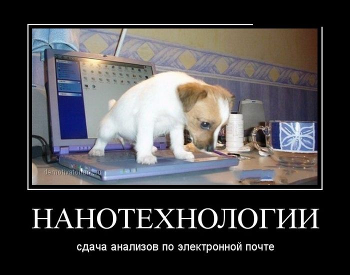 Сдавать анализы смешные картинки