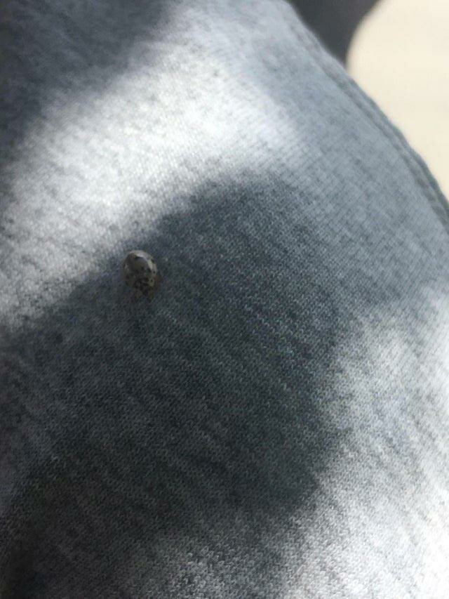 27 фотографий необычных вещей и редких явлений, которые вы увидите впервые 27 фотографий необычных вещей и редких явлений, которые вы увидите впервые интересное,мир,познавательно,удивительно