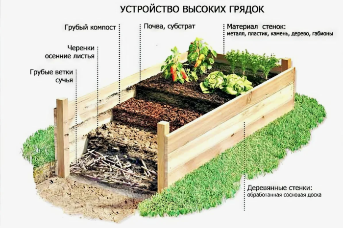 Как сделать грядки на даче красивыми, чтобы они не портили внешний вид участка дача,сад и огород,советы огороднику