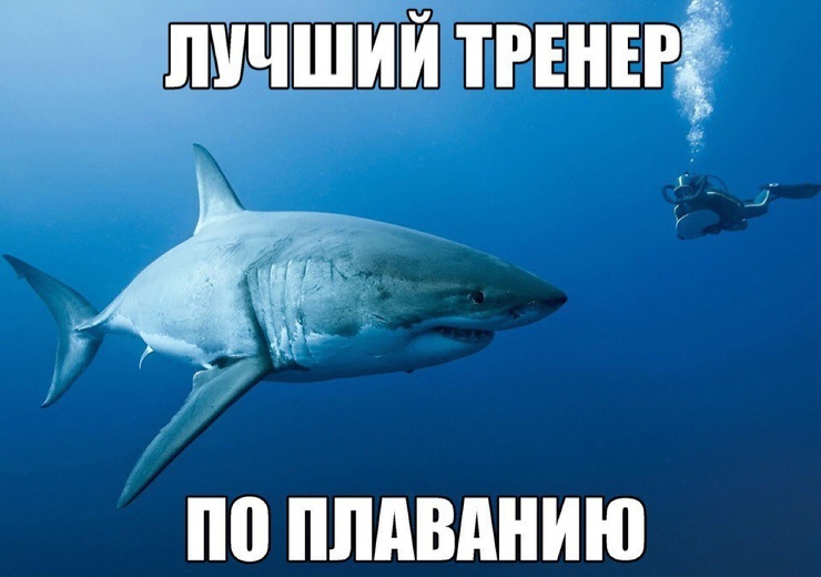Смешное картинках, картинки про пловцов с надписями