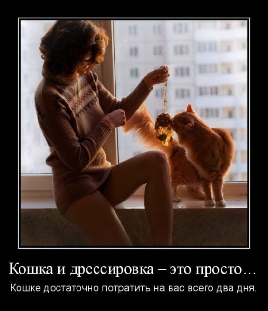 Лучшие демотиваторы!