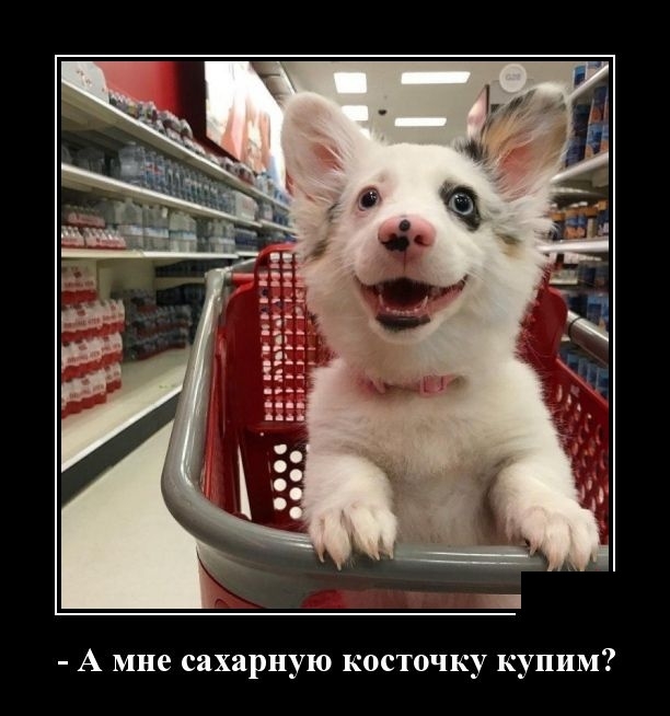 Демотиваторы - Улыбайтесь, господа, улыбайтесь! Демотиваторы - Улыбайтесь, господа, улыбайтесь!