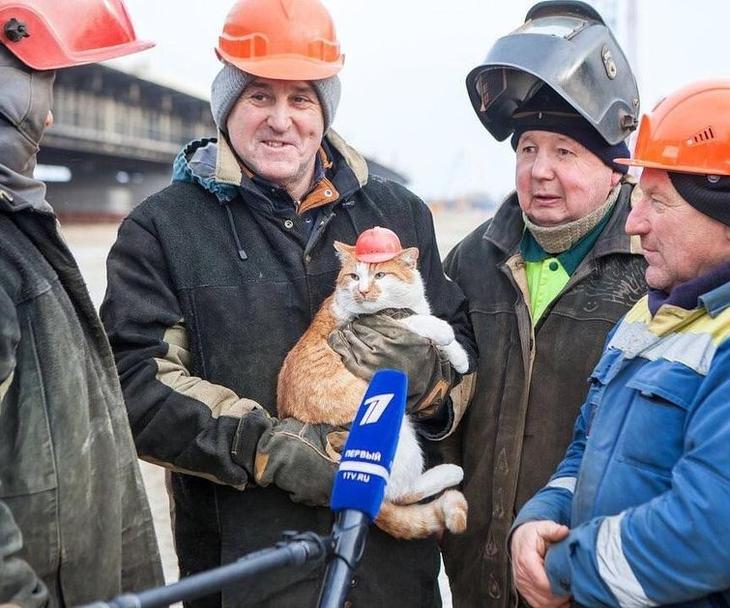 странные фотографии, фотографии не поддающиеся обхяснению