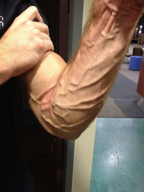 Что здесь происходит?! (24 фото)