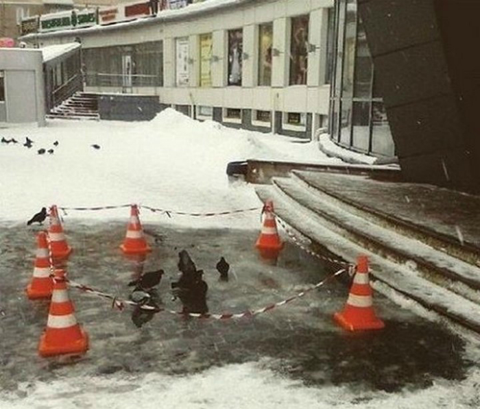 Краски жизни: 17 курьезных ситуаций, которые заставят улыбнуться