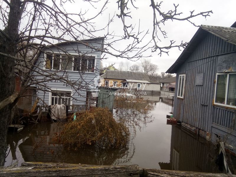 Даже если вода не проникла в дом при паводке - понадобится просушивание и обработка стен от грибка