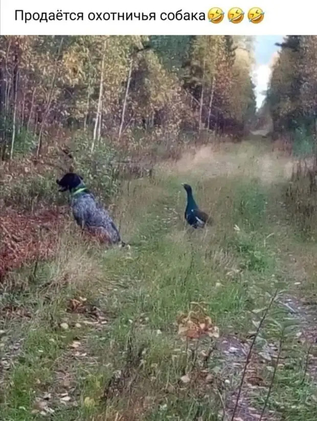 Васе папа купил фирму - и теперь Вася нам расскажет, как открыть свой бизнес с нуля и на что обратить внимание говорит, такая, надпись, время, влюбленных, Масленица, Прощеное, воскресенье, Прости, дорогой, изменила, равно, Самка, люблю, совпадают, испекла, блинчиков, съешь, пожалуйста, сразу