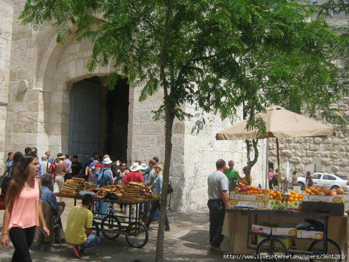 442 (700x525, 383Kb)