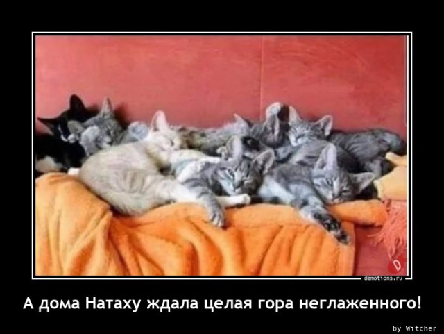 Демотиваторы для всех: «Чё вылупился?» Демотиваторы для всех: «Чё вылупился?»