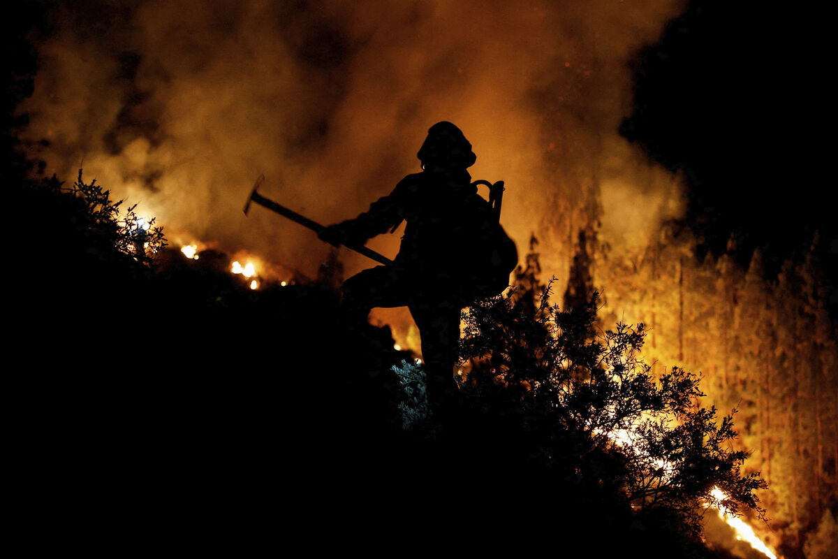 Турецкие провинции Чанаккале, Измир и Айдын охватили лесные пожары