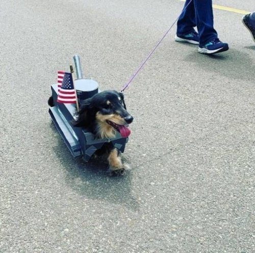 Приколы из США / Приколы Приколы из США / Приколы авто и мото,юмор и курьезы