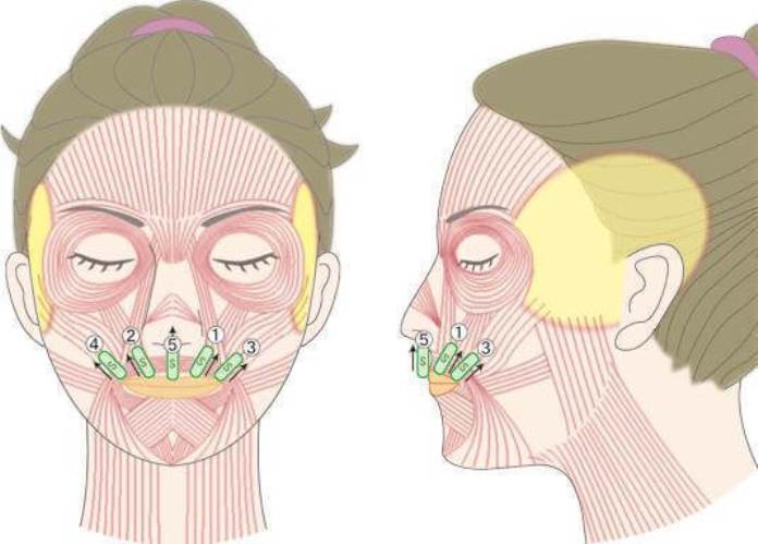 Тейп от брылей на лице схема. Схема накладывания тейпов на лицо. Тейпы на лицо схемы наклеивания. Тейпы для лица от морщин схемы.