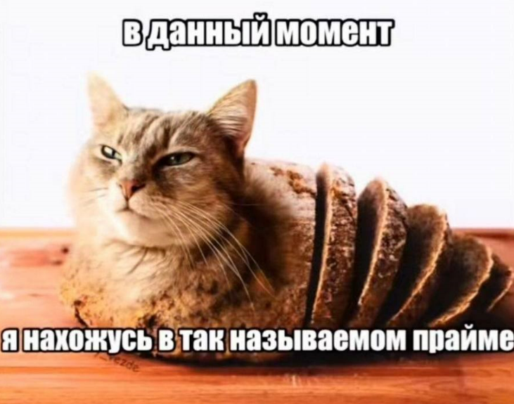 Эффект главного героя: что такое прайм, о котором говорят зумеры, и как его достичь жизнь, своей, жизни, наступает, кажется, можно, нужно, времени, прайме, хотите, такое, праймфото, жизнью, забывать, вперед, должен», получится, часто, прайм, может
