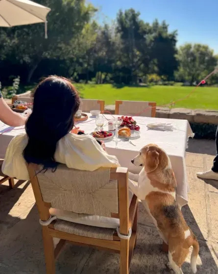 Обидчивость и тяжёлый характер: инсайдеры рассказали, почему Netflix разорвал контракт с Меган Маркл Меган, Netflix, Маркл, словам, связи, время, Гарри, принца, сотрудничества, Доннелли, команды, могла, прямо, отключиться, просто, брендом, известно, Variety, СассекскиеВ, входящий