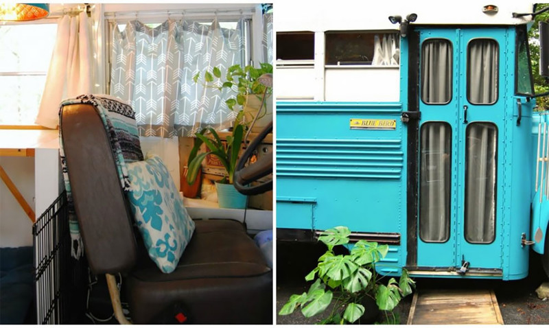 Голь на выдумки хитра: дом на колесах из школьного автобуса голь на выдумки, дешевое жилье, дом на колесах