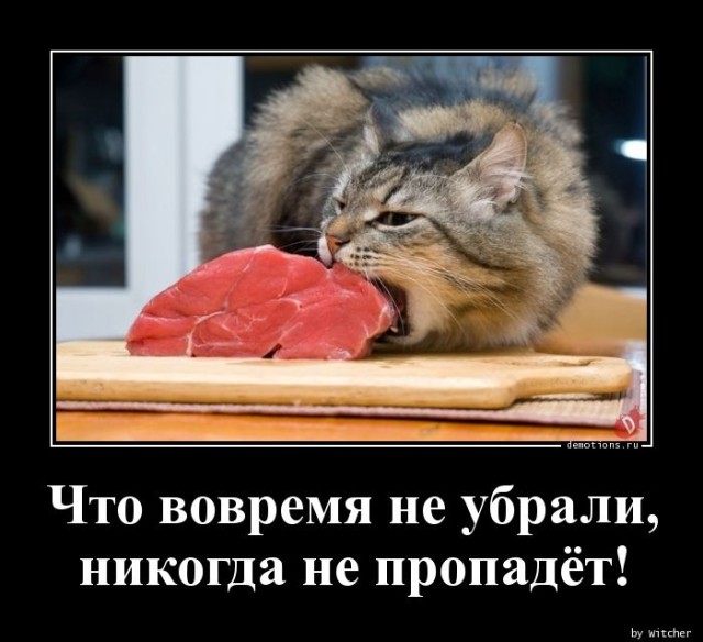 Демотиваторов пост: «Белые начинают и проигрывают» Демотиваторов пост: «Белые начинают и проигрывают»