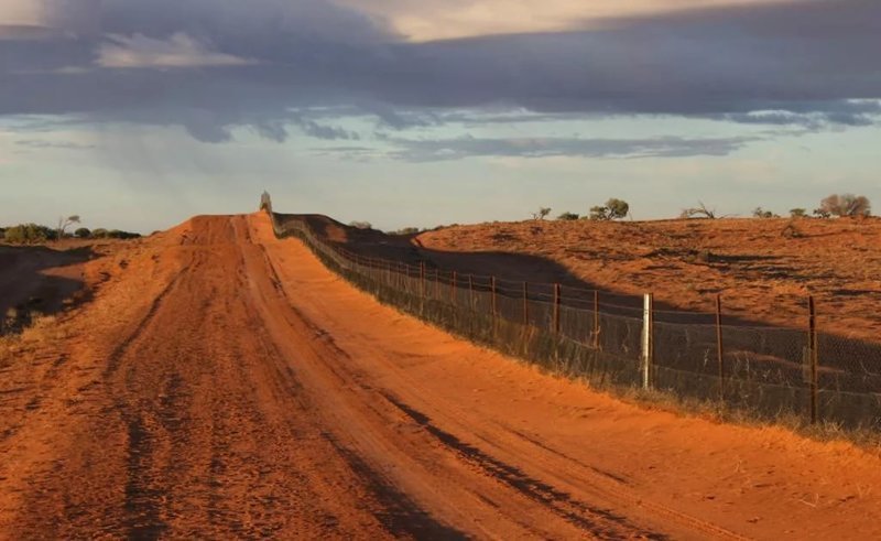 «Великие стены» Австралии австралия, забор, интересное