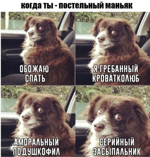 Анекдоты для всех