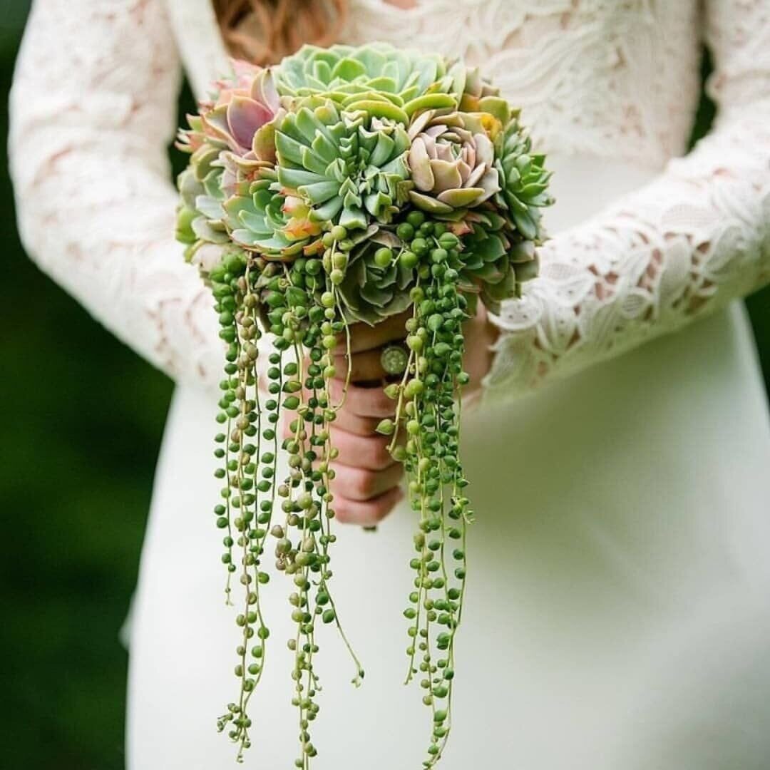 Свадебный букет с кактусом и ветками.