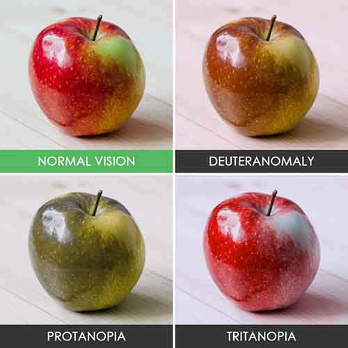 different-types-color-blindness-photos-5