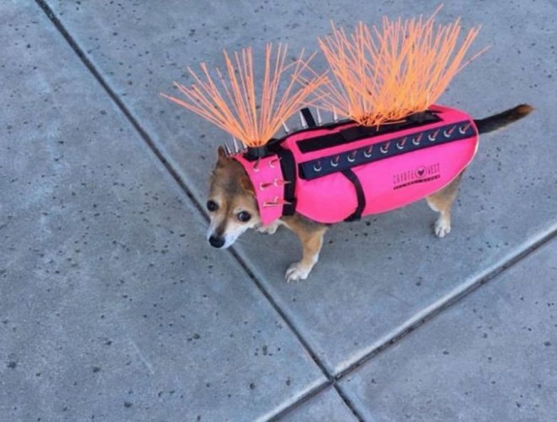 22 полезных лайфхака, которые вас точно разеселят 