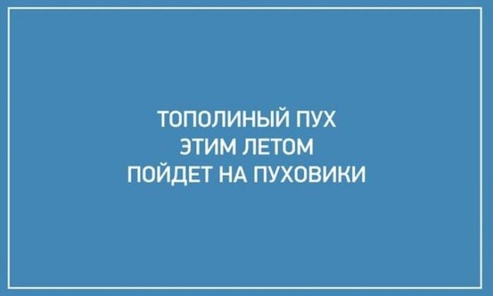 Картинки с надписями-20 фото-