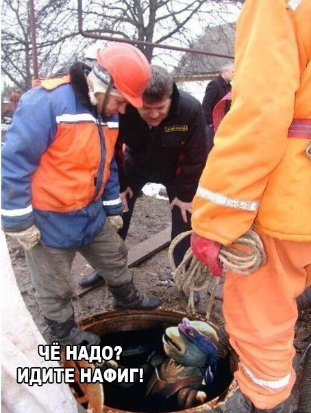 Фотоподборка понедельника 25 марта  