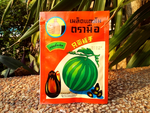 original Как пожарить арбузные семечки на сковороде