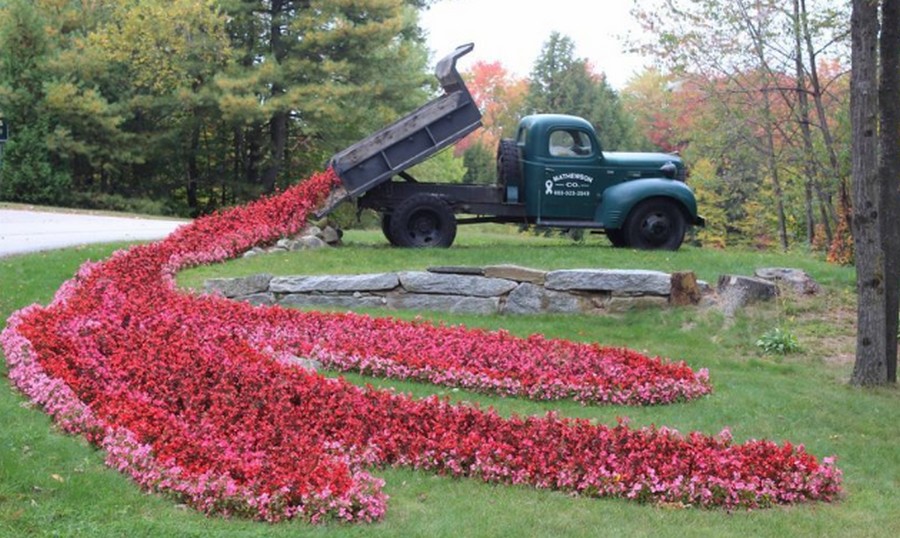 Необычная и действительно креативная клумба