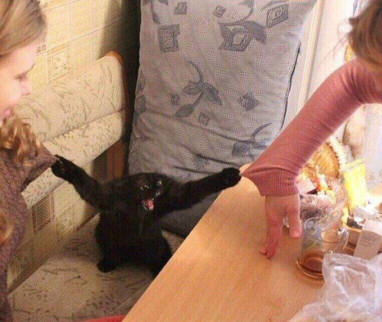 Неожиданные кадры из серии Неожиданные кадры из серии