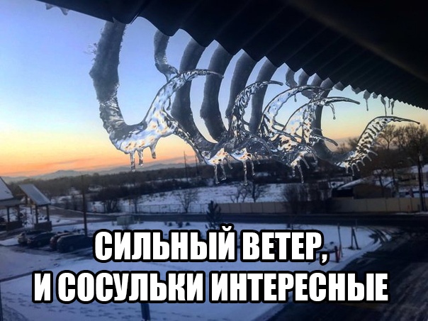 Подборка жизненных картинок и фотографий с надписями