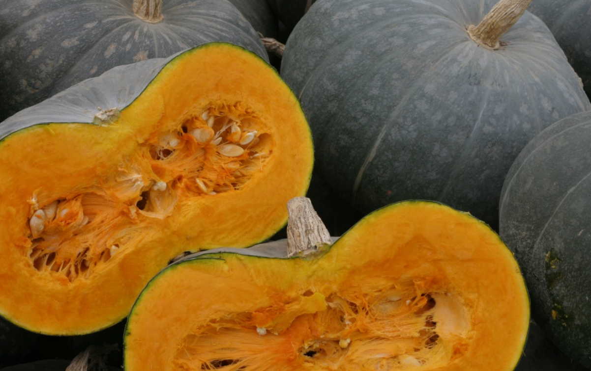 Лекарство для тех, кто отчаялся - и просто, и надежно. И главное -доступно!