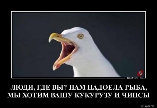 Демотиваторов пост: «Белые начинают и проигрывают» Демотиваторов пост: «Белые начинают и проигрывают»