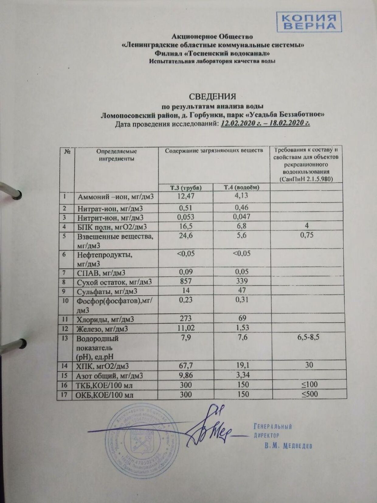 Пруд усадьбы Беззаботная в Ленобласти озаботил муниципалов бактериологической угрозой