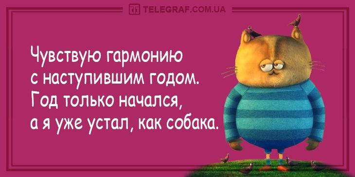 Лучший юмор с просторов Сети: 30 анекдотов и шуток в картинках, чтоб посмеяться от души 