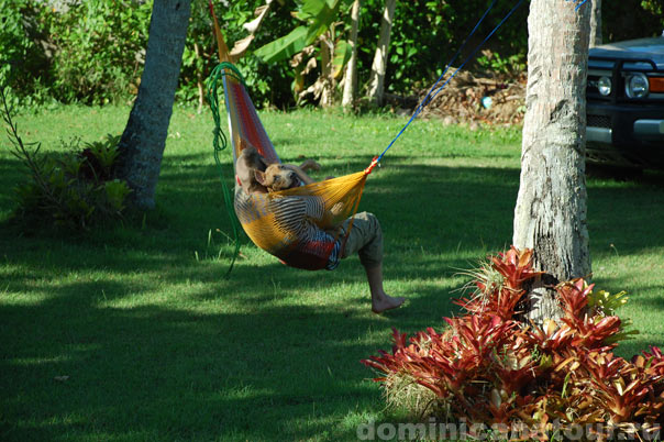 доминиканская республика перелет, доминиканская республика виза, доминиканская республика климат, доминиканская республика туры цены