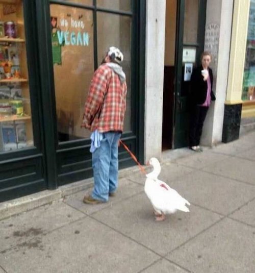 Чудаки вокруг нас  