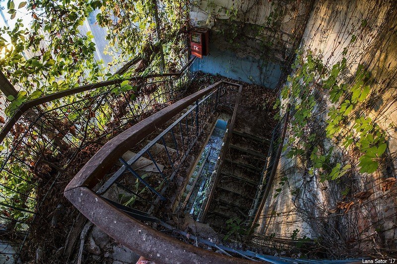 Заросший пионерский лагерь в Крыму