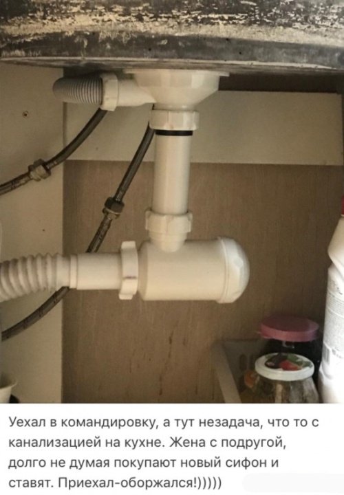 Фотоподборка среды 