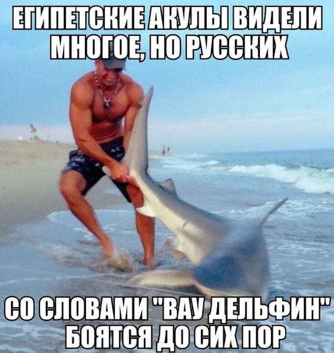 Картинки с надписями приколы людей