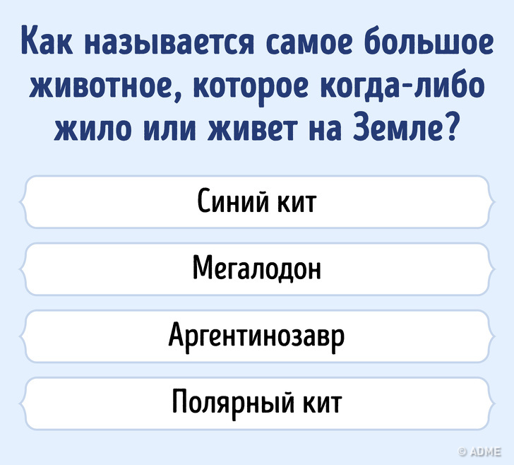 Твой интеллект большая перемена ответы. Большая перемена тест твой кругозор. Тест "твой кругозор". Большая перемена ответы на тест. Тест твой кругозор большая перемена ответы.