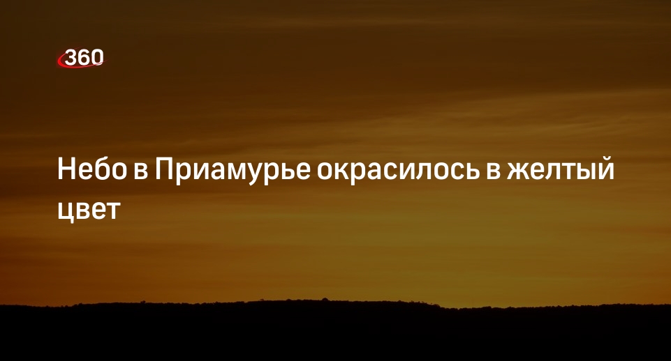 Гидрометцентр: китайско-монгольская песчаная буря накрыла Приамурье