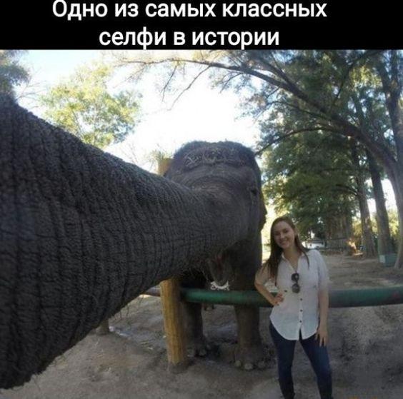 Юмористические жизненные ситуации в картинках Юмористические жизненные ситуации в картинках