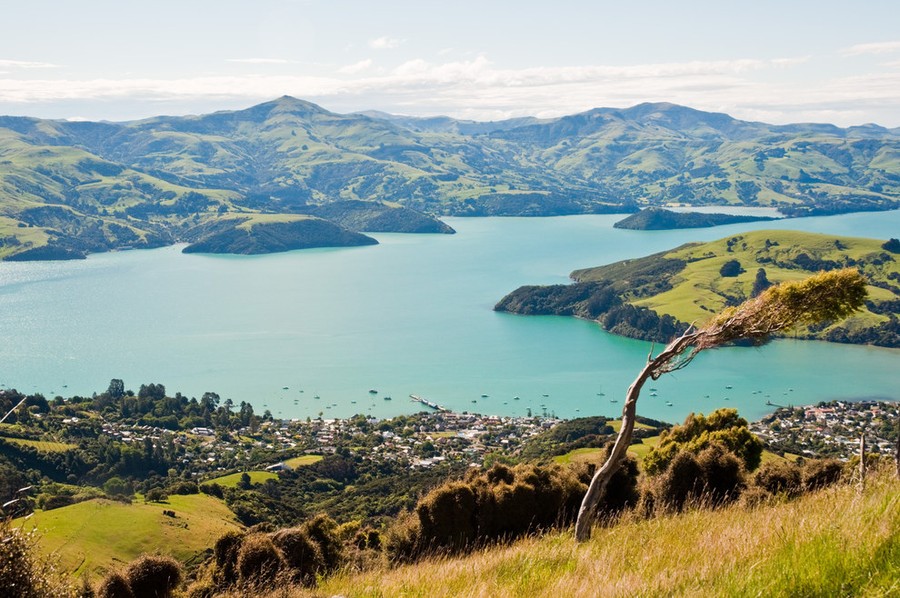 Любопытные факты о Новой Зеландии