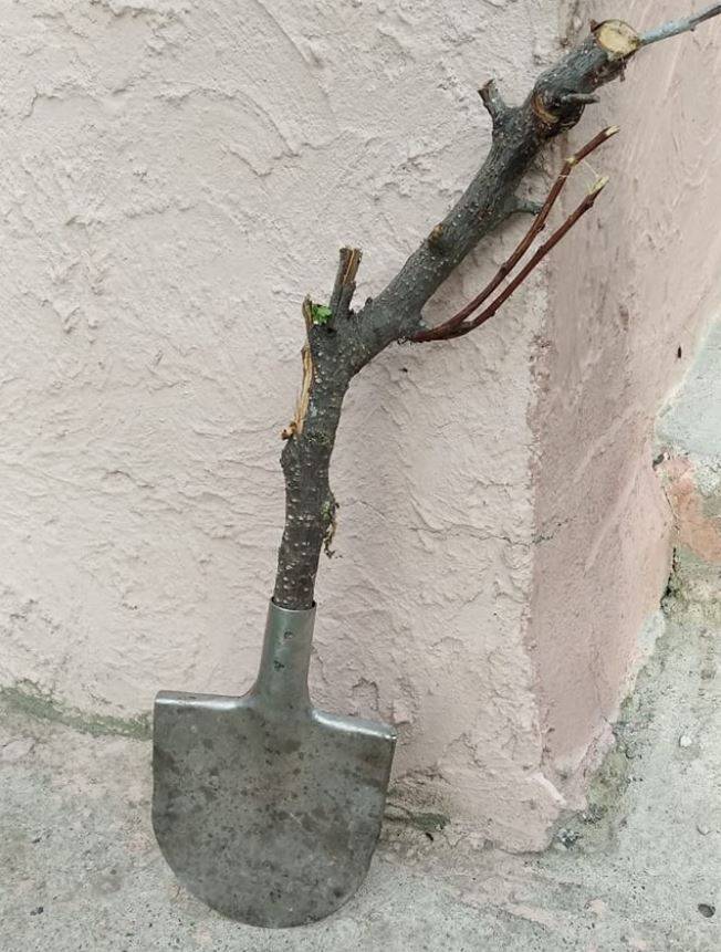 Есть смекалка – нет проблем: 13 забавных фото Есть смекалка – нет проблем: 13 забавных фото