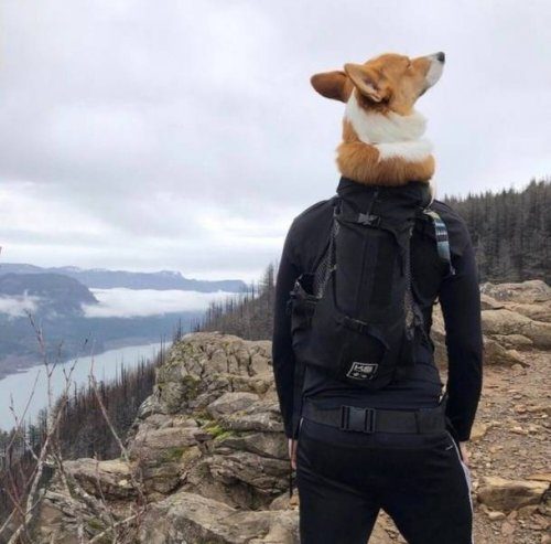 Новые прикольные фотоиллюзии Новые прикольные фотоиллюзии