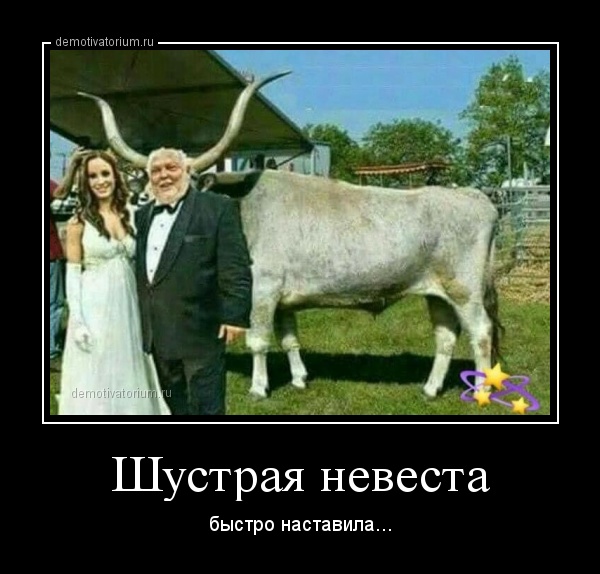 Веселые вечерние демотиваторы для хорошего настроения Веселые вечерние демотиваторы для хорошего настроения