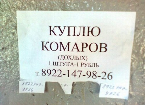Смешные объявления, мимо которых невозможно пройти Смешные объявления, мимо которых невозможно пройти приколы,смешные картинки,юмор
